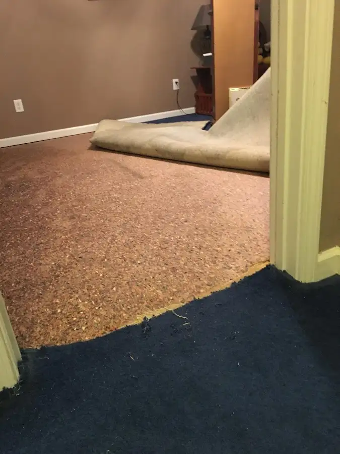 Carpet pad removal revealing water damage during Water Mitigation Services in Oakland